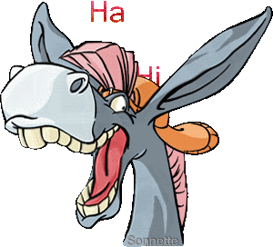 Gif animé rire âne